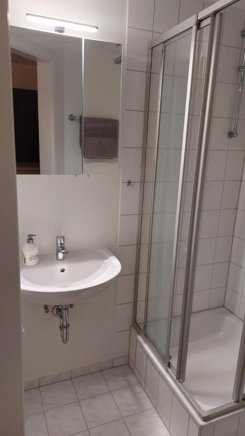 Ferienwohnung Am Stadtwald Freiberg Exterior foto